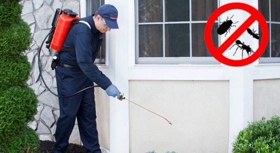 Kilimli Gümüşkurt İlaçlama böcek ilaçlama ve haşere kontrolü — ilaclama-tr.com